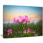 «Blooming Lotus Flowers at Sunset», photographie-26669334-35125729