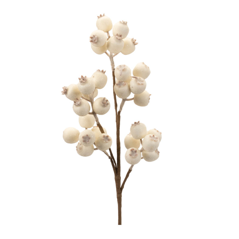 Beaded Berry, H 22 po x l 6 po x P 3,5 po, Beige/brun