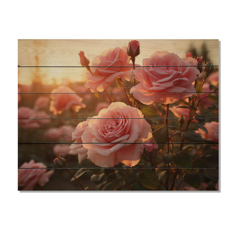 Champ de roses roses avec impression de coucher de soleil sur bois naturel, H 24 po x l 32 po x P 0,78 po