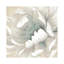 « Winter Blooms II » par Carol Robinson, reproduction d’art-53843357-53843358-53843359