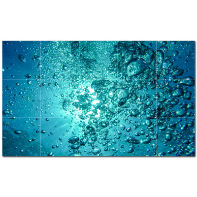 Coral Photo 12'' x 12'' Satin Ceramic Decorative Mural