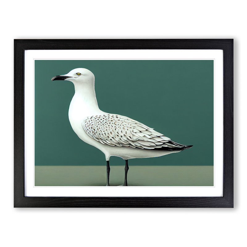View Of A Seagull - Framed Print, Black, 34cm H x 46cm W x 2cm D