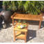 Tundra Solid Wood Side Table