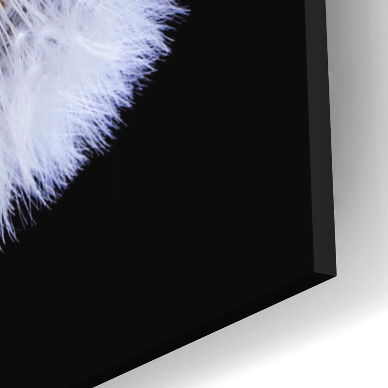 'Dandelion Flying,' Acrylic Glass Wall Art, 12" H x 24" W x 0.2" D