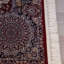 Munos Persian Area Rug-1693569047