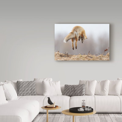 «Spring of Spring» par Hanzlah, reproduction de photo sur toile tendue