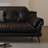 Black Genuine Leather Standard Sofa