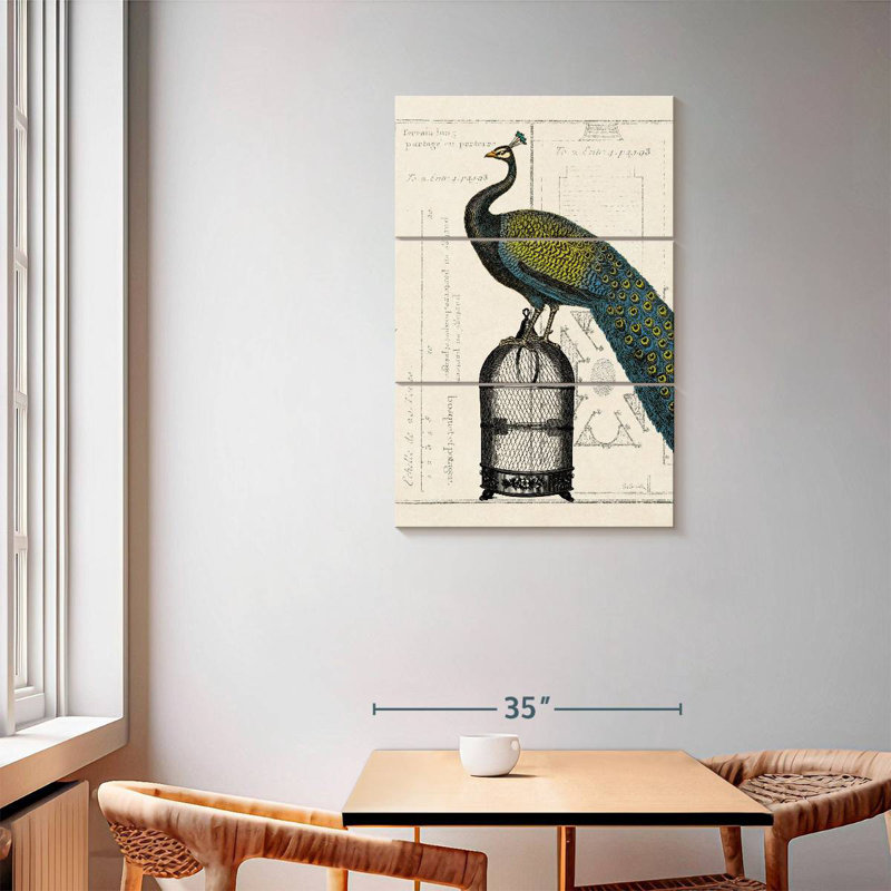 Cage à oiseaux Brampt Peacock II