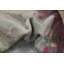 Tapis art déco végétal 7 x 10