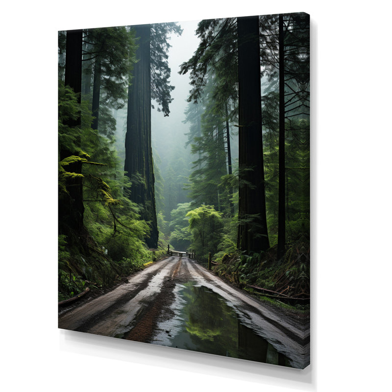 États-Unis, Jedediah Smith, forêt de séquoias, reproduction sur toile, H 40 po x l 30 po x P 1,5 po, Toile tendue