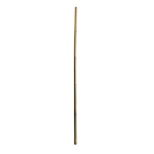 Bundle of 20 Natural Green Bamboo Poles / Stakes, approx 3/8 x 18