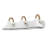 Journey 3-Light Vanity Light in Natural White