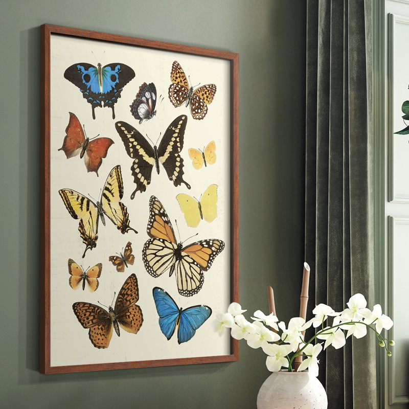 Collected Flutter II Framed Print - Solid Wood, Brown, 10" H x 8" W