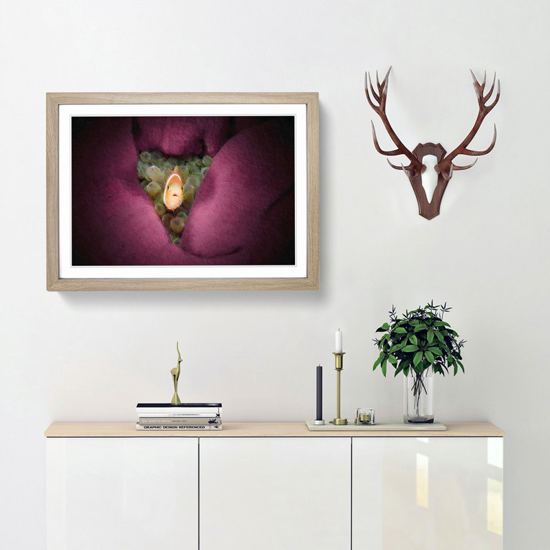 Clownfish & Sea Anemone - Picture Frame Painting, 48cm H x 65cm W x 2cm D, Oak Framed