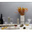 Tulipa cloche en verre