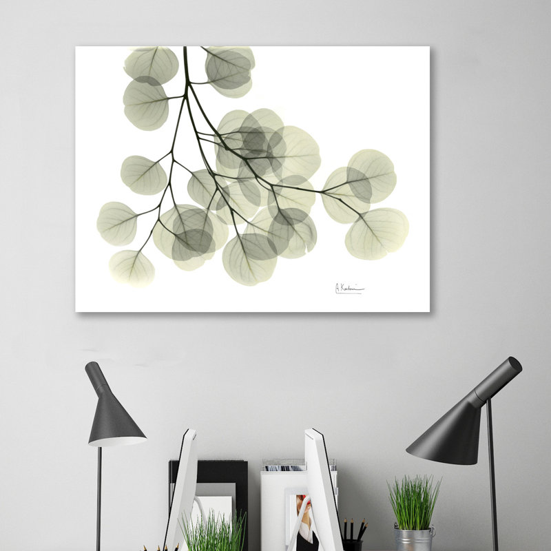 Eucalyptus - L257 - Wrapped Canvas Print, 30 cm H x 41 cm W