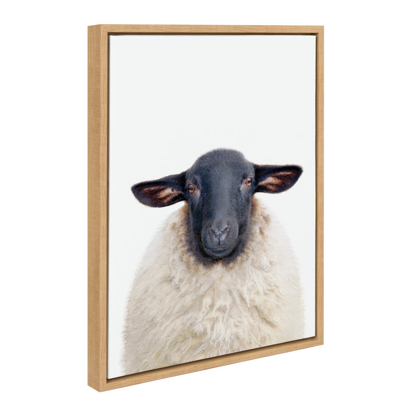 «Dorper Sheep» par Amy Peterson, reproduction d'art sur toile encadrée, Naturel