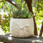 Handmade Stone Planter-1216282156