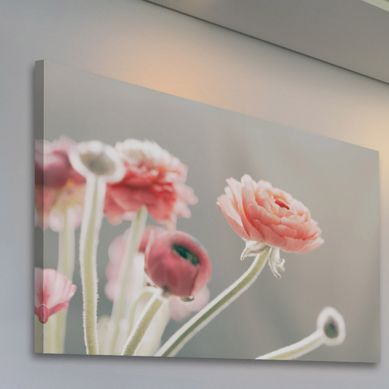 « stores of rosé » par morgan j hartley, reproduction d’art sur toile tendue, 30 po x 45 po