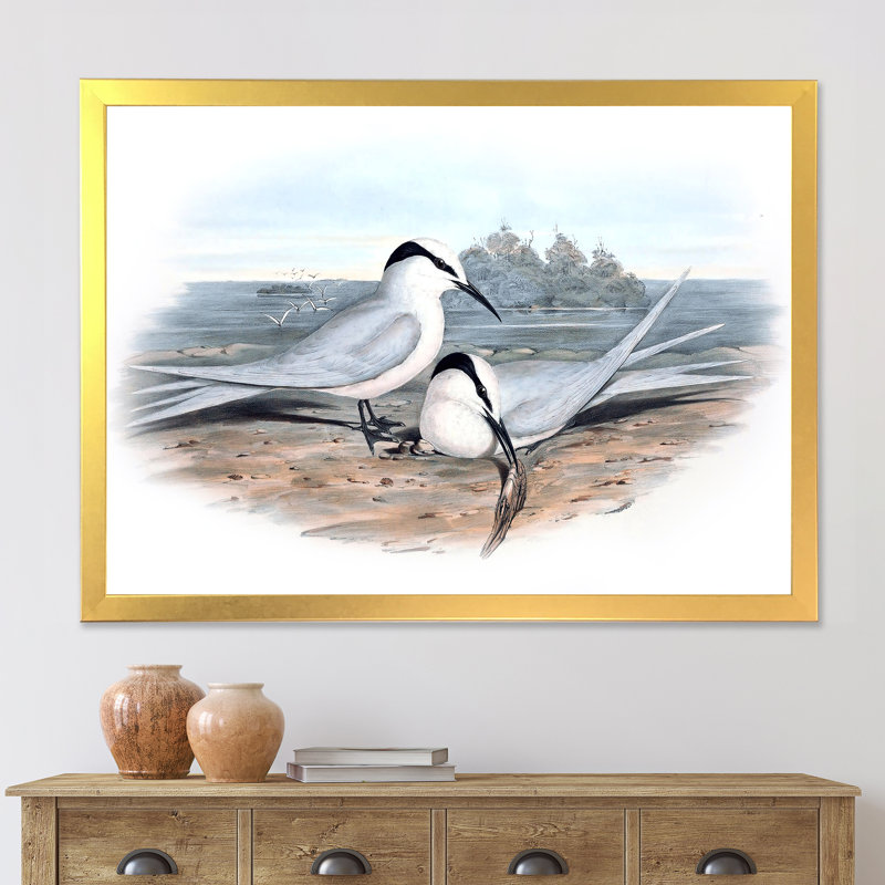 «Vintage Birds in the Wild», impression sur toile, H 16 po x l 32 po x P 1,5 po, Toile encadrée dorée
