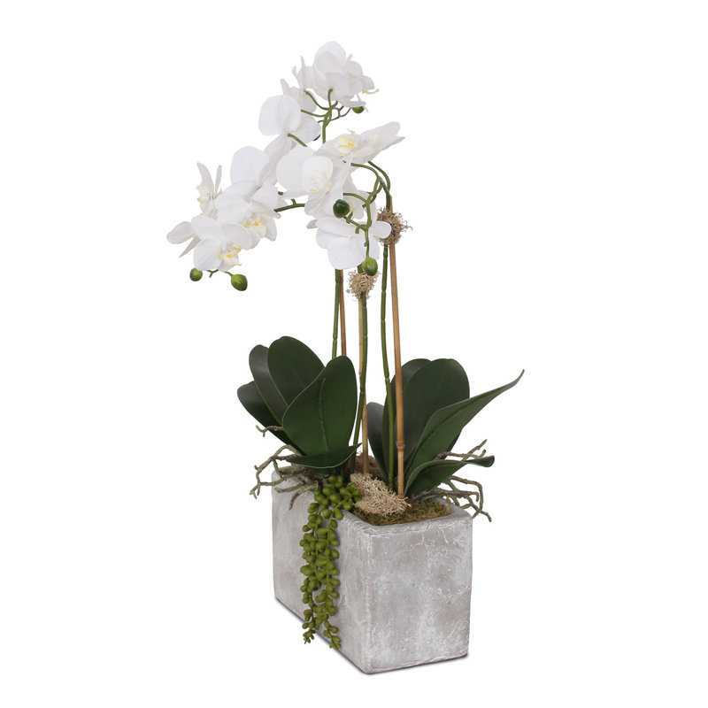 Real Touch Silk Phalaenopsis Orchids And Leaves With String Of Pearls In Wash Stone Pot