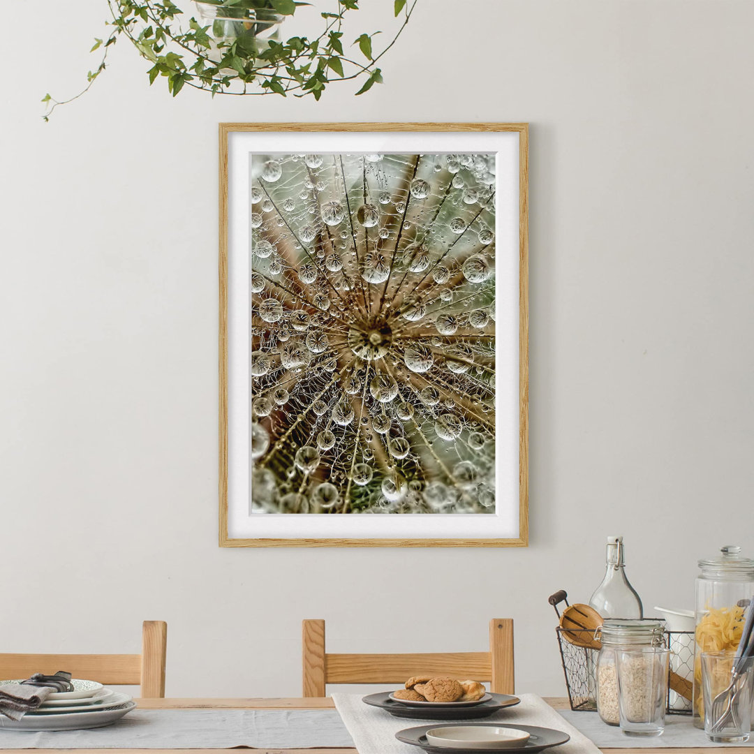 Gerahmtes Papierbild Pusteblume im Herbst