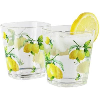 Dericka Acrylic Drinking Glasses