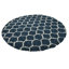 Tapis à poils longs Red Barrel Studio® Ruby Trellis-1679573944