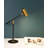 Ronasia Metal Desk Lamp