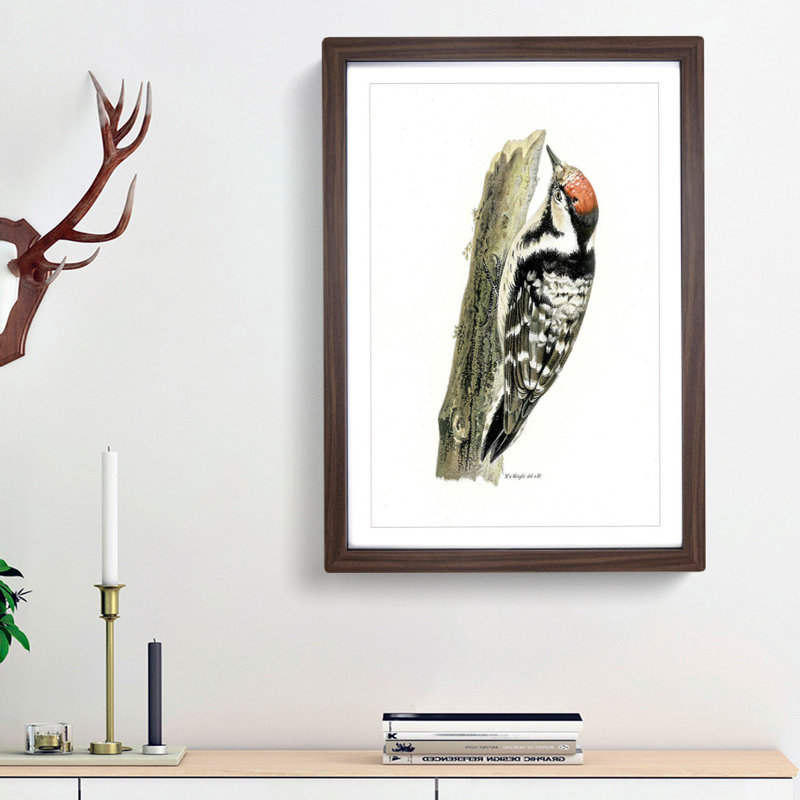 Lesser-spotted Woodpecker by Von Wright - Picture Frame Painting Print, 65cm H x 48cm W x 2cm D, Walnut Framed