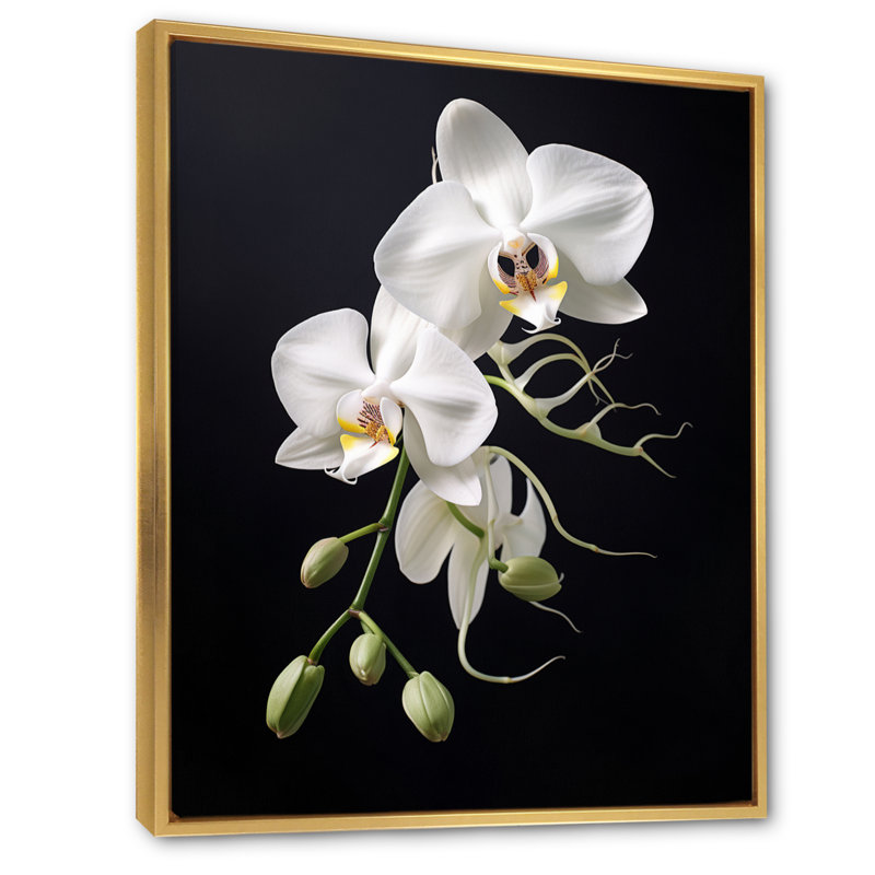 Orchidée délicate noire et blanche - décoration murale orchidée, Cadre flottant doré, H 44 po x l 34 po x P 1,5 po