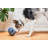 Hybrid Feeder/Toy-87061919