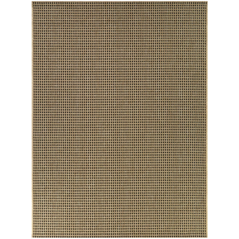Tapis intérieur / extérieur brun / noir uni Leocadia, Rectangle 7 pi 10 po x 10 pi