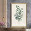 Victorian Garden Greenery I - Peinture-45359686-45359694