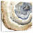 Avery Up Close Agate I