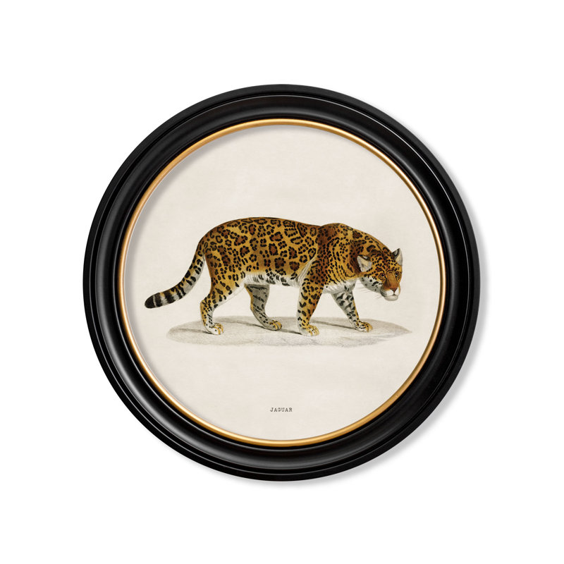Jaguar by Mid-1800s - Single Picture Frame Print on Archival Matt 230gsm Paper