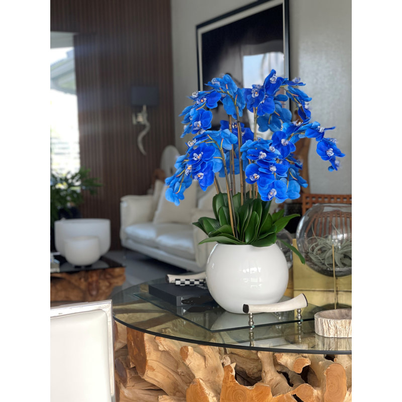 Phalaenopsis Orchid Floral Arrangement in Pot, Blue