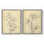 «Magnolia S croquis I», reproduction encadrée de qualité supérieure - prête à être accrochée - aucun clou requis - aucun clou requis-108034766-108034771