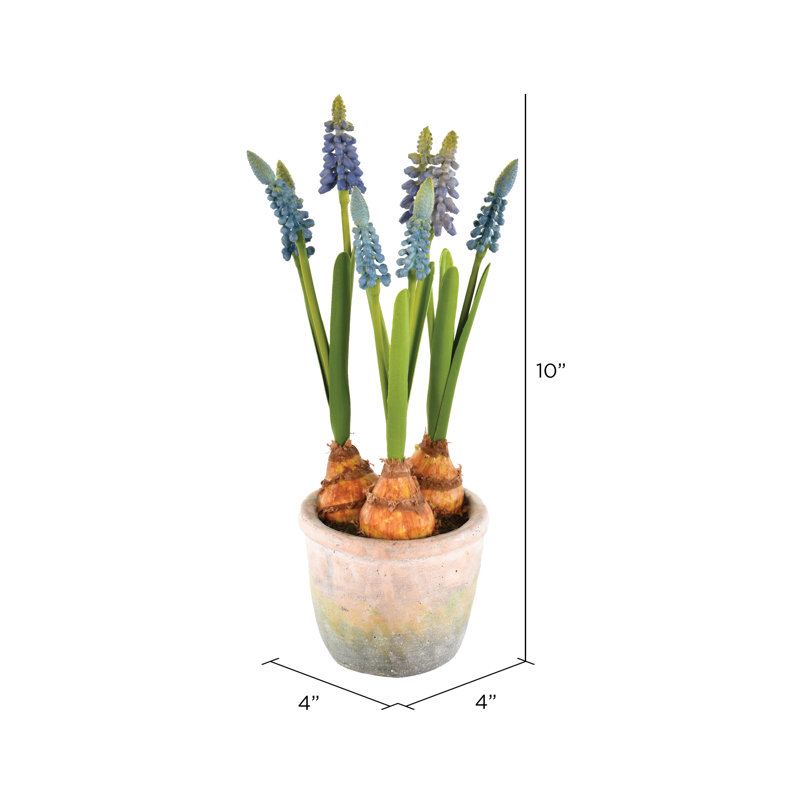 Jacinthes artificielles 10 po dans un contenant, bleu