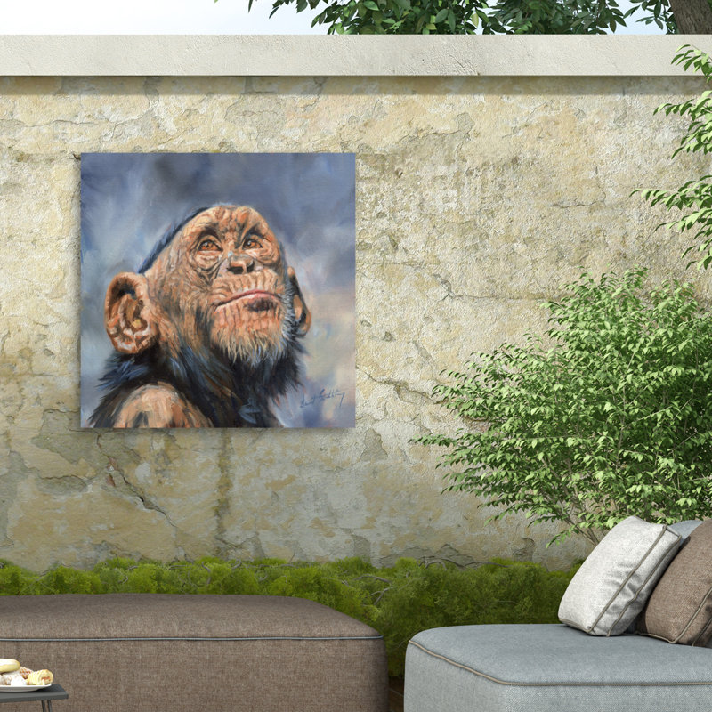 Toile d'extérieur David Stribble Chimp, H 14 po x l 14 po