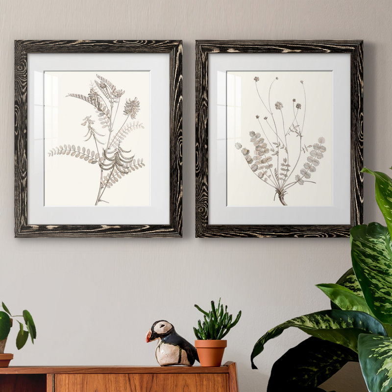«Neutral Botanical Study VIIP», reproduction d'art encadrée - prête à être accrochée, H 31,5 po x l 47 po x P 1,5 po, Blanc