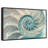 Inside A Nautilus Shell-1798791957-1798791961