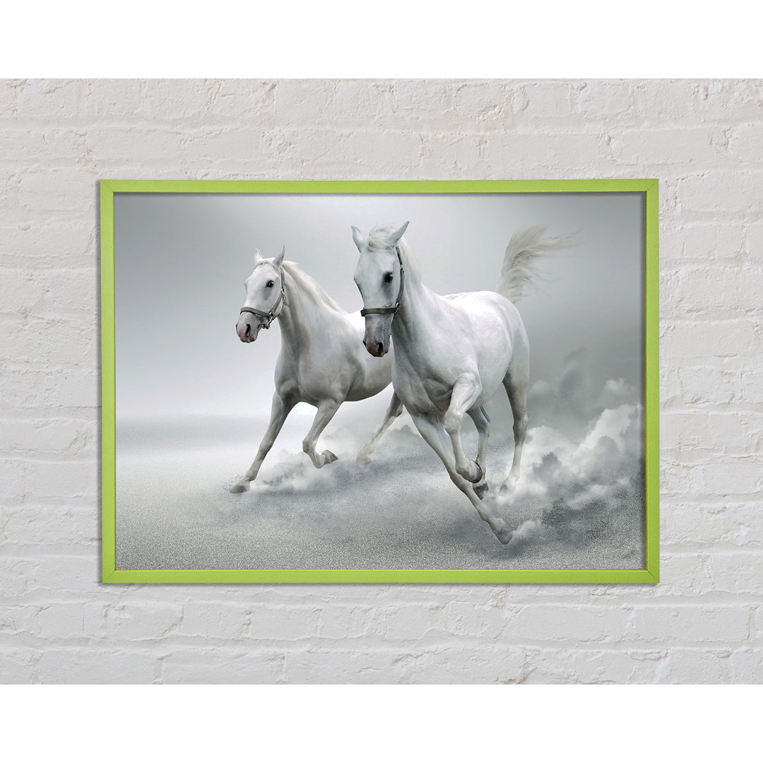 White Duo Horses - Einzelner Bilderrahmen Kunstdrucke