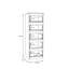 Edmore 5 Drawer Tall Narrow Chest-477879233