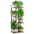 Brun