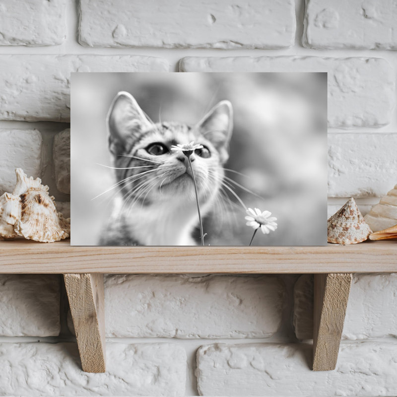 Curious Kitten Daisy Peaceful Abstract Cat Daisy Flower Nature Wall Art Print, 30.48cm H x 45.72cm W