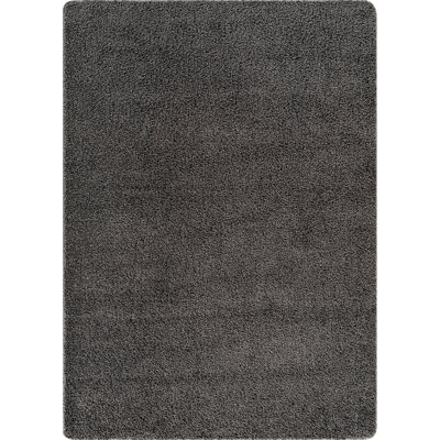 Washable Indoor Area Rug