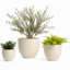 Pot à fleur Dorlis Fiberstone-881441047-809609162