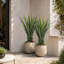 Faux Agave 37 '' en pot noir (ensemble de 2)-1602638692-1602638698
