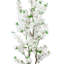 Arbre à cerisier en fleurs-468754747